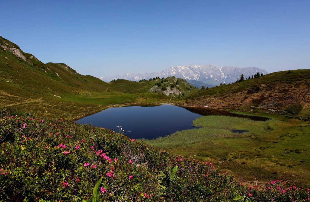 ferienhaus-grabenhaeusl-paarseen-obere-sommer